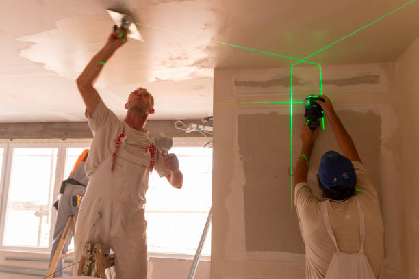 Best Fire-Damaged Drywall Repair  in Larch Y, WA